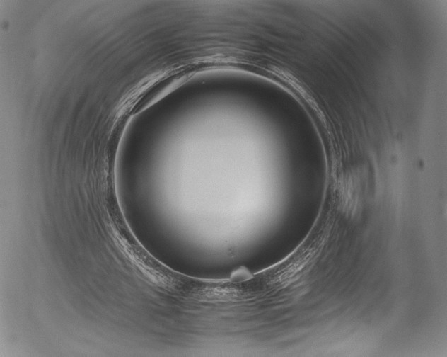 X0000054390437200508011257