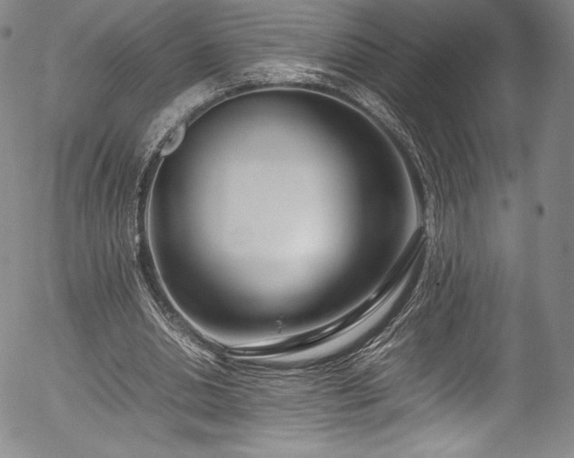 X0000054390438200508011257