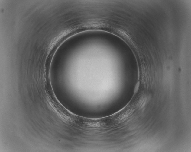 X0000054390439200508011257