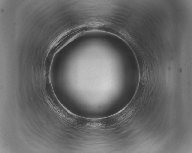 X0000054390440200508011257