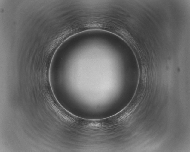 X0000054390441200508011257