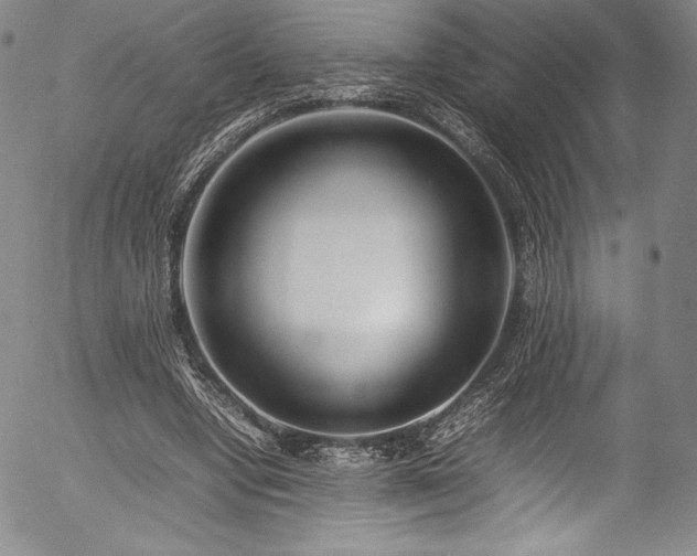 X0000054390442200508011257