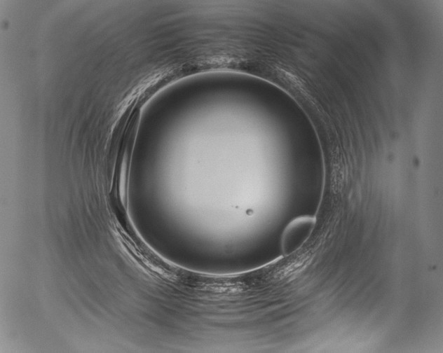 X0000054390443200508011257