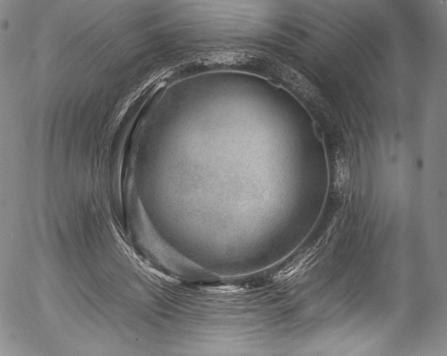 X0000054390444200508011257