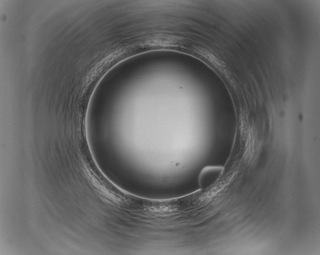 X0000054390445200508011257