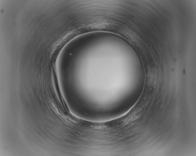 X0000054390446200508011257