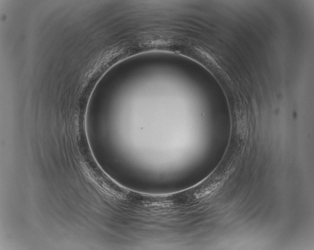 X0000054390447200508011257