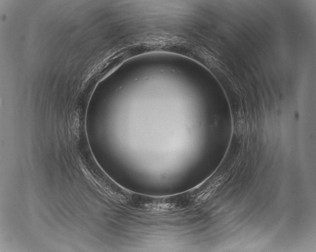 X0000054390448200508011257