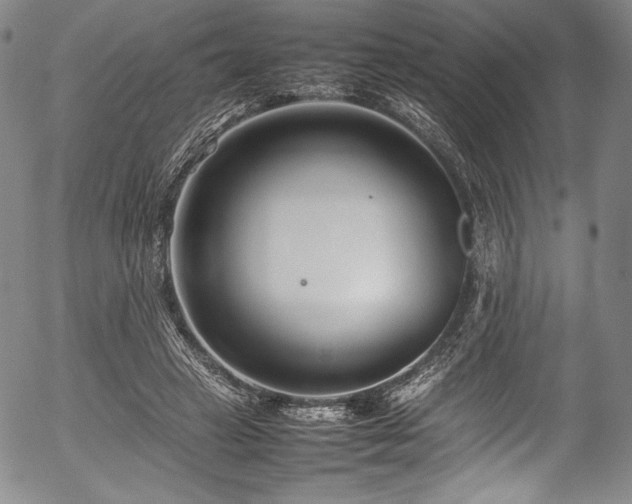 X0000054390449200508011257