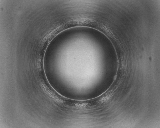 X0000054390450200508011257