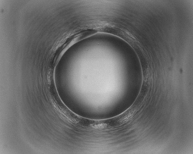 X0000054390452200508011257