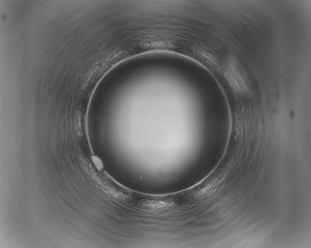 X0000054390453200508011257