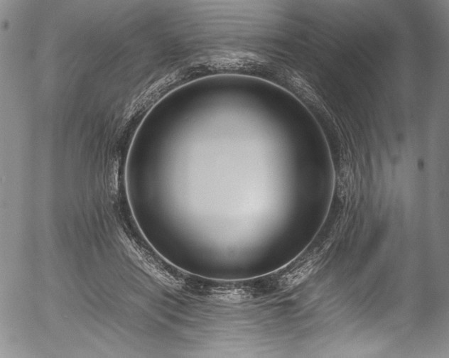 X0000054390454200508011257