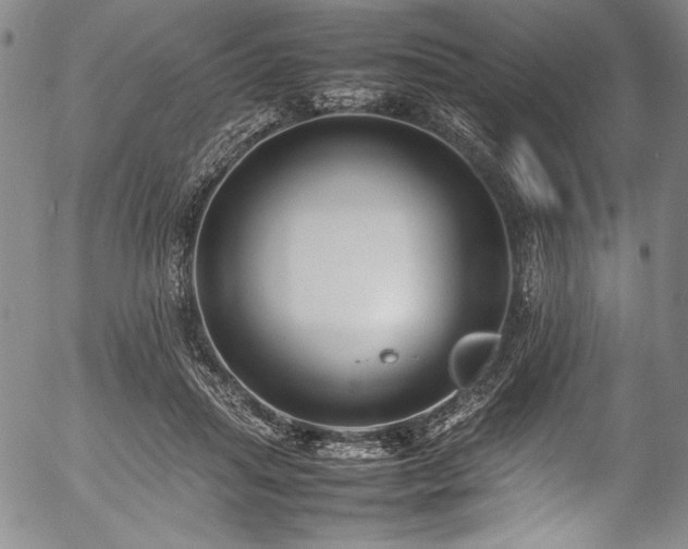 X0000054390455200508011257