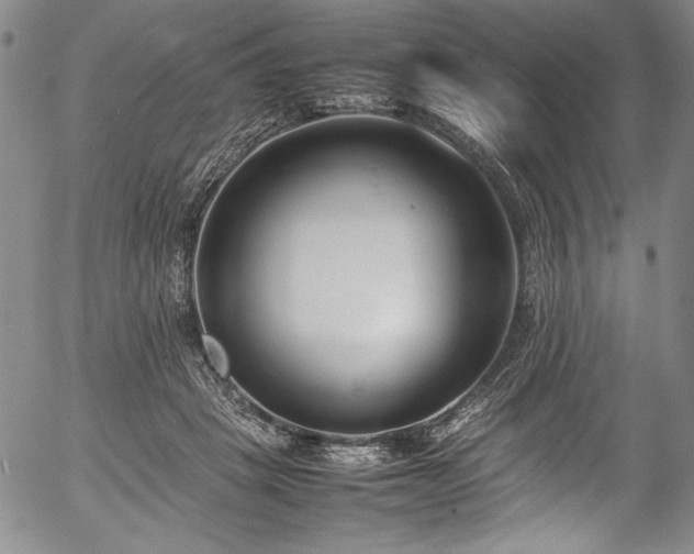 X0000054390457200508011257