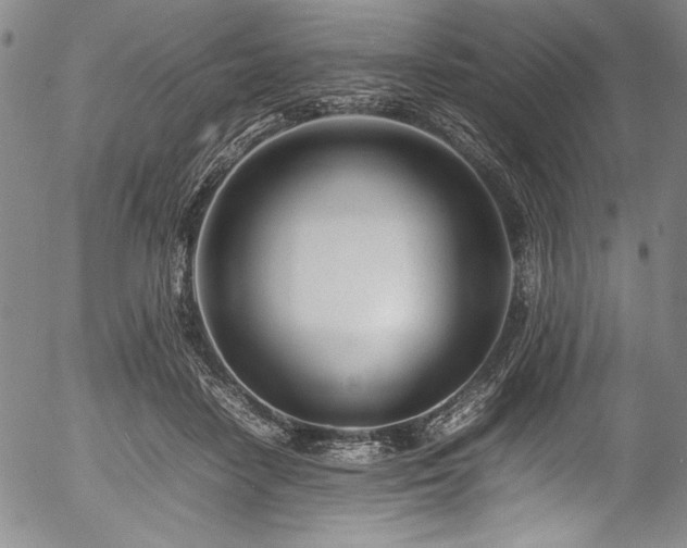 X0000054390458200508011257