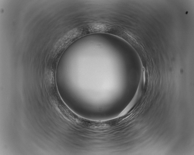 X0000054390459200508011257