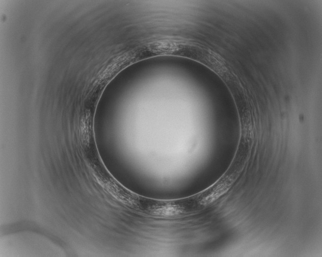 X0000054390460200508011257