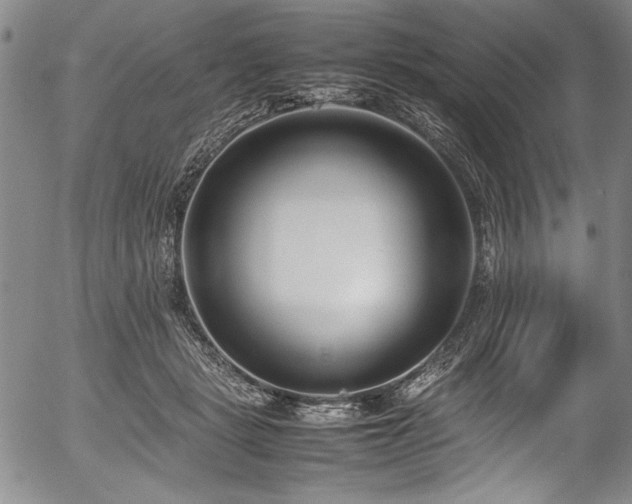 X0000054390461200508011257