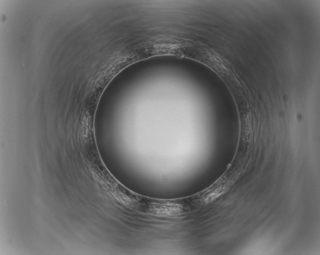 X0000054390463200508011257