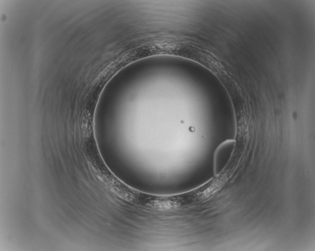 X0000054390464200508011257