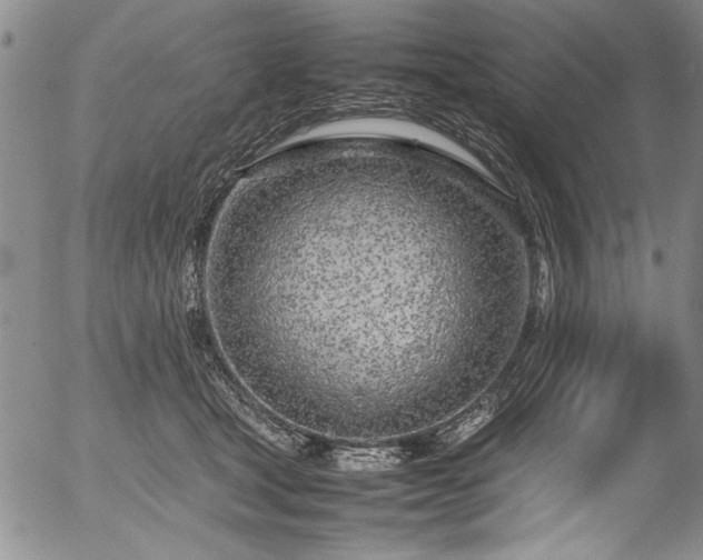 X0000054390465200508011257