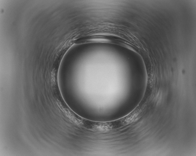 X0000054390466200508011257