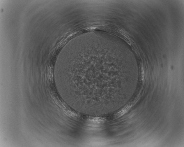 X0000054390467200508011257