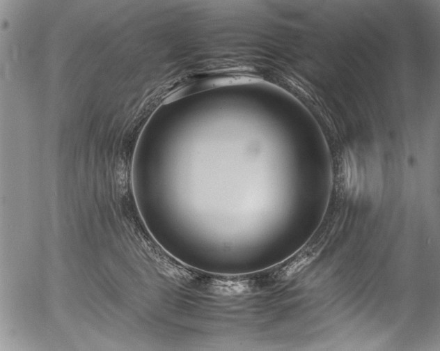 X0000054390469200508011258