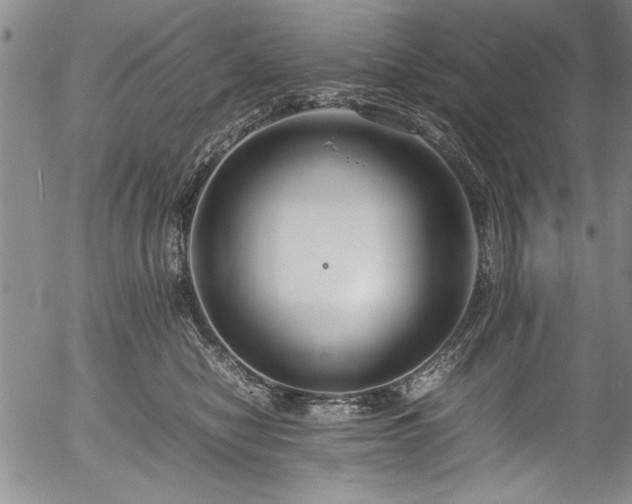 X0000054390470200508011258