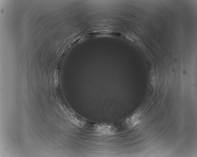 X0000054390471200508011258