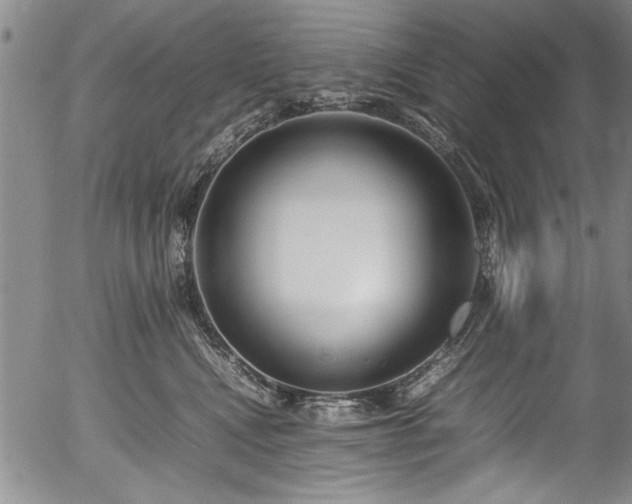 X0000054390472200508011258