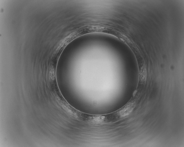 X0000054390474200508011258