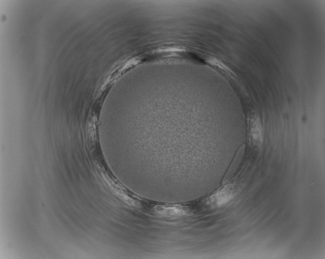 X0000054390475200508011258