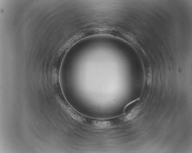 X0000054390476200508011258