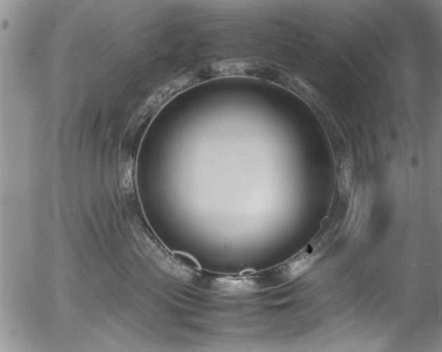 X0000054390477200508011258