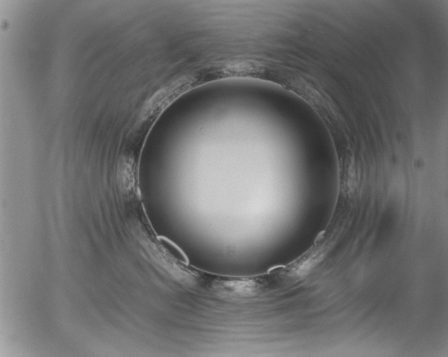 X0000054390478200508011258