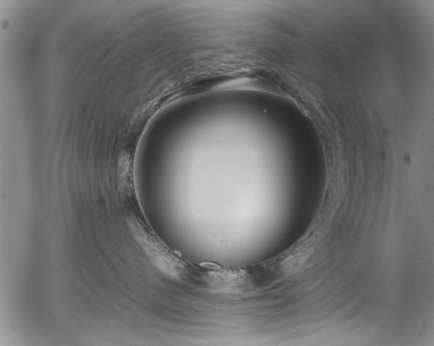 X0000054390480200508011258