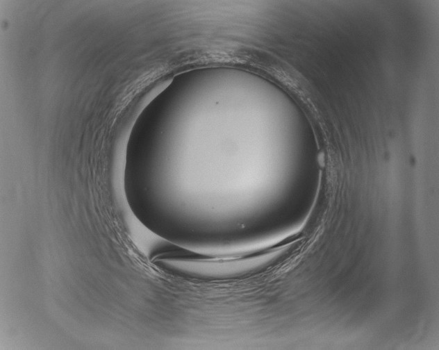 X0000054390481200508011257