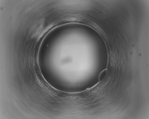 X0000054390482200508011257