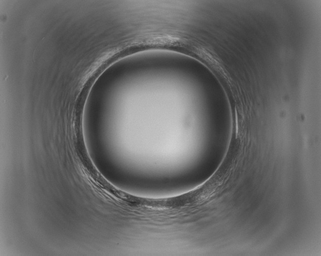 X0000054390483200508011257