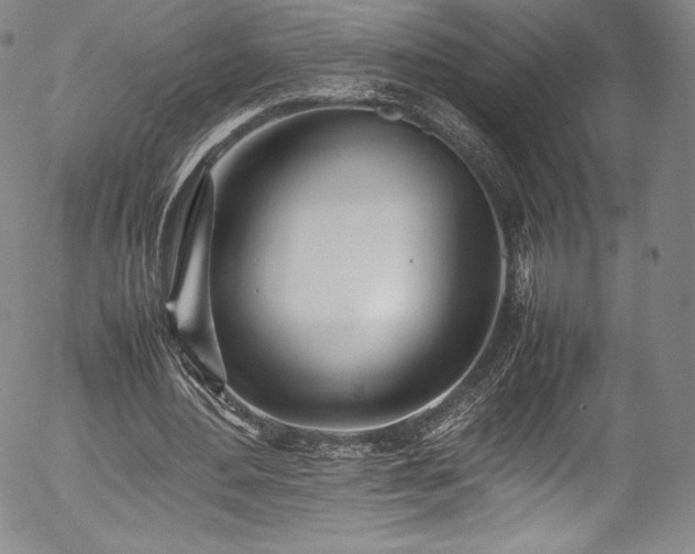 X0000054390484200508011257