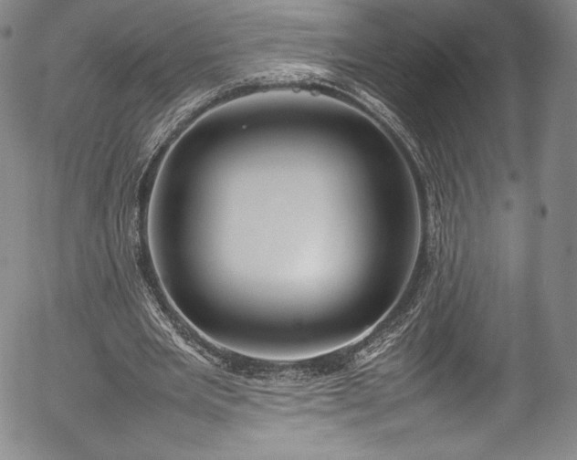 X0000054390485200508011257