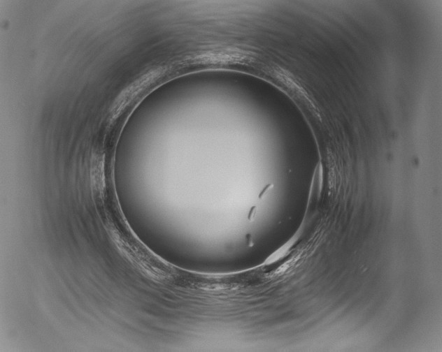 X0000054390486200508011257