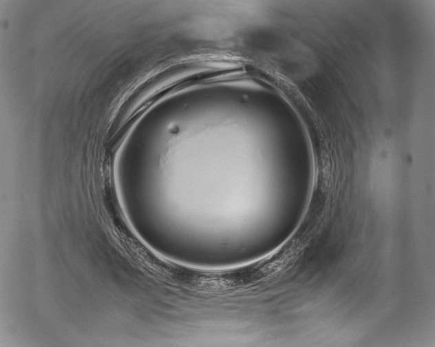 X0000054390487200508011257