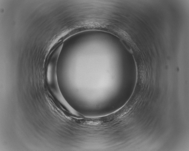 X0000054390488200508011257