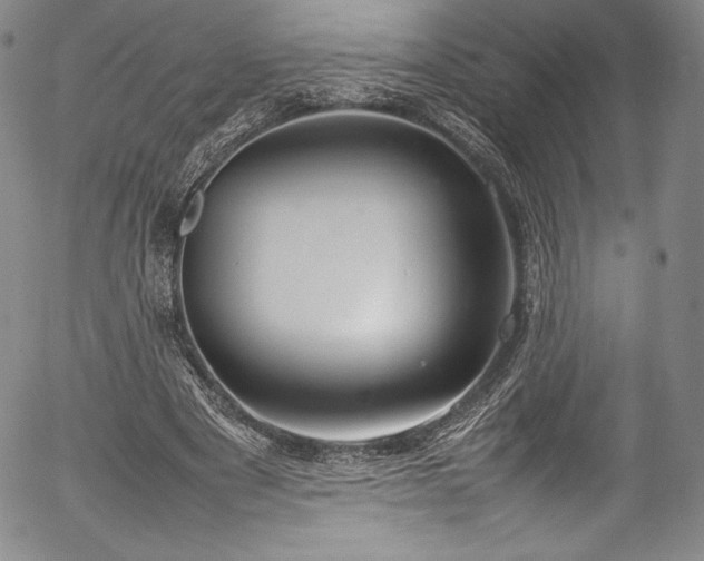 X0000054390489200508011257