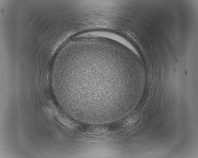 X0000054390491200508011257