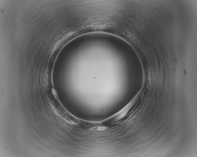 X0000054390492200508011257