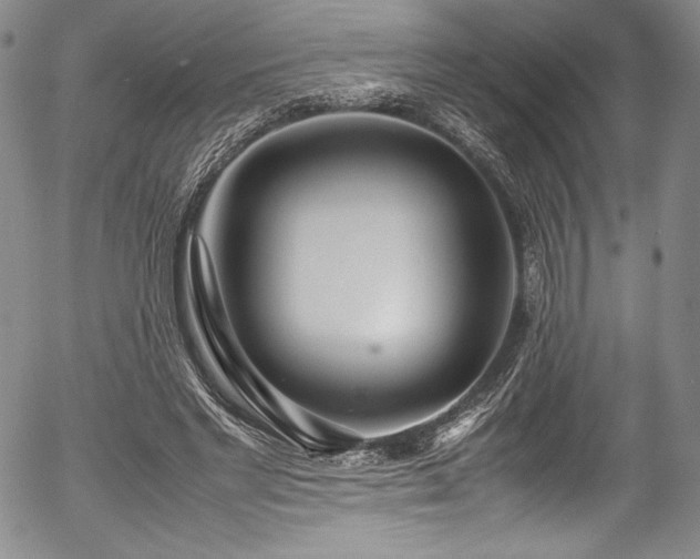 X0000054390493200508011257